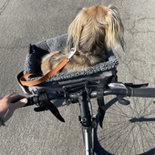 User avatar for Sarah Hendricks