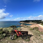 User avatar for Andrew Shaw