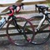 User avatar for Andrea James