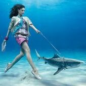 User avatar for Camille Marquet