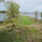 User avatar for Andréanne Simard