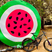 User avatar for G Annie