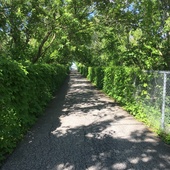 User avatar for Angele Bourdeau