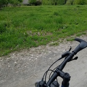 User avatar for Angie Potter