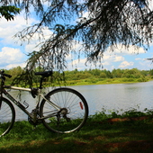 User avatar for Annie Ouellet