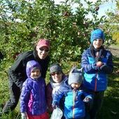 User avatar for Dany Boulianne