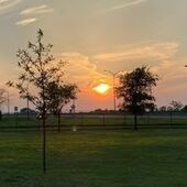 User avatar for Dominique Elysee