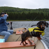 User avatar for Audrey Racine