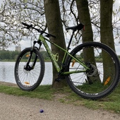 User avatar for Ron Laraya