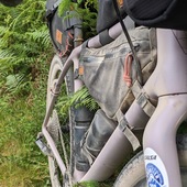 User avatar for Greig Ness