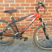 User avatar for Danny Croft