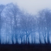 User avatar for Erin Macfarlane