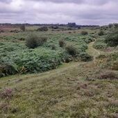 User avatar for Gazza Mercury