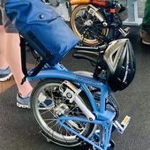 User avatar for Ace R.