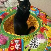 User avatar for Kira Davison