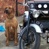 User avatar for Jason Gregory