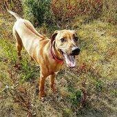 User avatar for Keith Guthrie