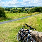 User avatar for Aleksandrs Jakovickis