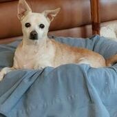 User avatar for Gail Wellenkamp