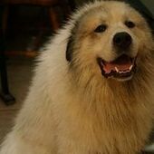 User avatar for Eric Doege