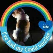 User avatar for Pamela Maclean