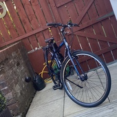 User avatar for Catriona Mc Neill