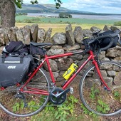 User avatar for Ceri Nailen