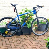 User avatar for Matt C