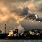 User avatar for Jo Oz