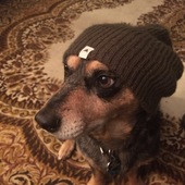 User avatar for Emily Herring