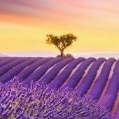 User avatar for Eve Durkin