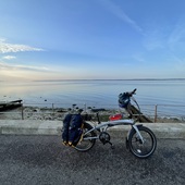 User avatar for Amy .