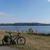 User avatar for Allan Shepherd