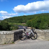 User avatar for Colin Morrison