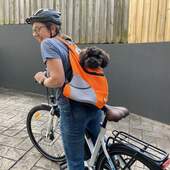 User avatar for Vicki Harding