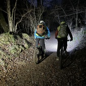 User avatar for Andrew Mc Murtrie