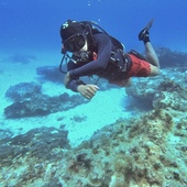 User avatar for Vincent Vega