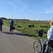 User avatar for Tineke  Adriaansen