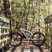 User avatar for Brent Vendola