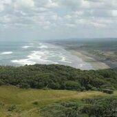 User avatar for Alex Fisher