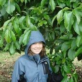 User avatar for Joanna Deaton