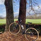 User avatar for Julie Harrison