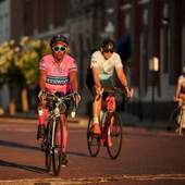 User avatar for Leslie Finch