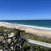 User avatar for Carolina Castro