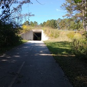 User avatar for Angie Robinson