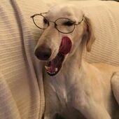 User avatar for Mark Wilson