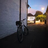 User avatar for Elaine Perriss