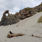 User avatar for Frances Palmer