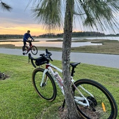 User avatar for Francielli Melo