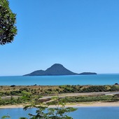 User avatar for Irene Law